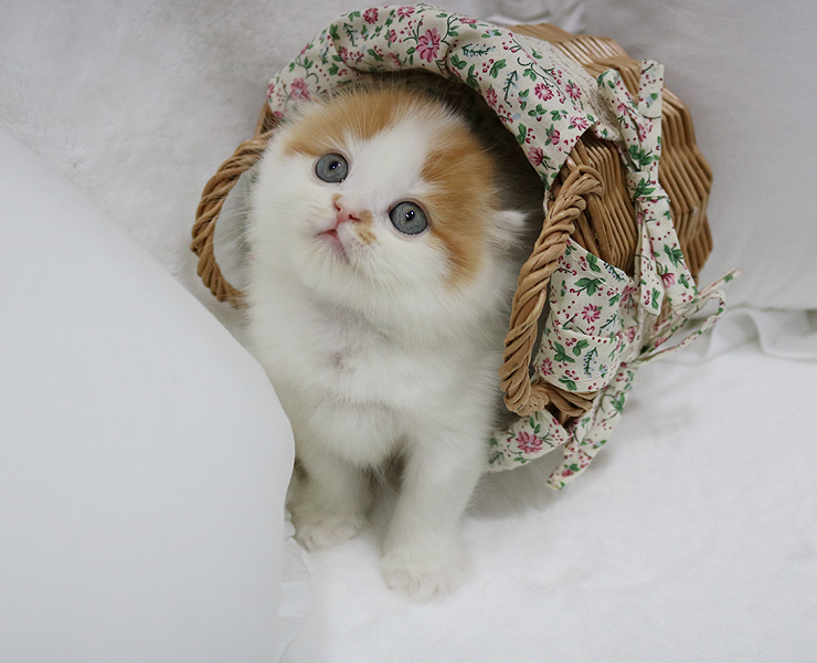 Ƽ оմϴ^^